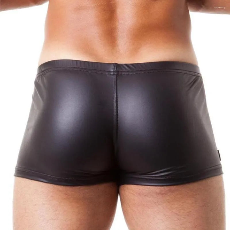 Boxer Ecocuero