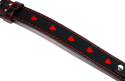 Collar con Correa
