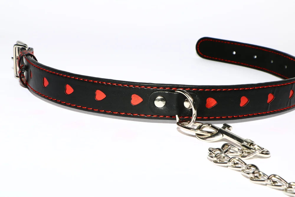 Collar con Correa