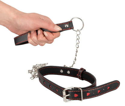 Collar con Correa